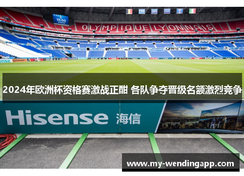 2024年欧洲杯资格赛激战正酣 各队争夺晋级名额激烈竞争 2024年欧洲杯资格赛激战正酣 各队争夺晋级名额激烈竞争