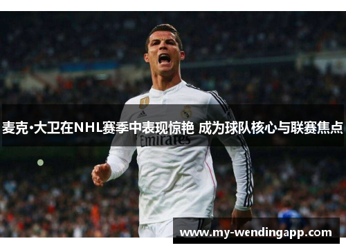 麦克·大卫在NHL赛季中表现惊艳 成为球队核心与联赛焦点