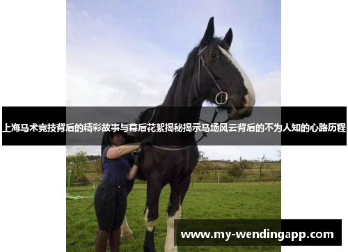 上海马术竞技背后的精彩故事与幕后花絮揭秘揭示马场风云背后的不为人知的心路历程