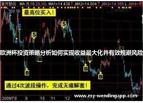 欧洲杯投资策略分析如何实现收益最大化并有效规避风险
