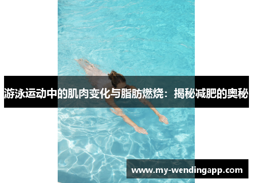 游泳运动中的肌肉变化与脂肪燃烧：揭秘减肥的奥秘
