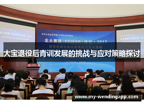 大宝退役后青训发展的挑战与应对策略探讨