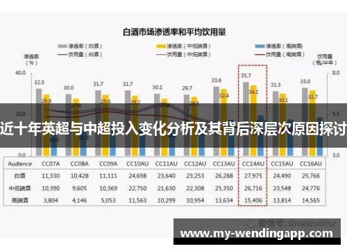 近十年英超与中超投入变化分析及其背后深层次原因探讨 近十年英超与中超投入变化分析及其背后深层次原因探讨
