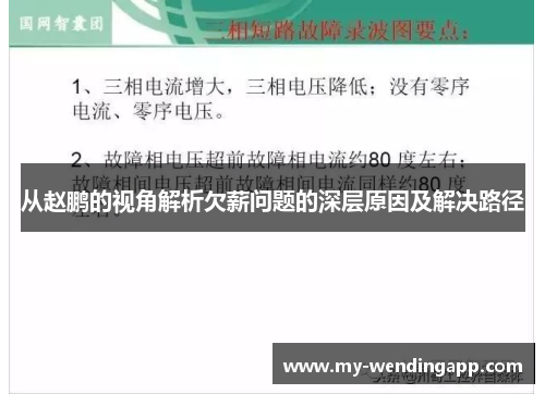 从赵鹏的视角解析欠薪问题的深层原因及解决路径