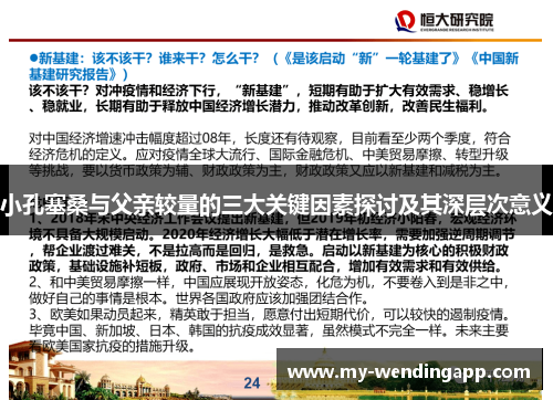 小孔塞桑与父亲较量的三大关键因素探讨及其深层次意义