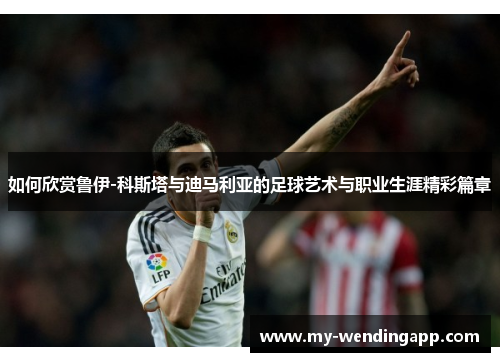 如何欣赏鲁伊-科斯塔与迪马利亚的足球艺术与职业生涯精彩篇章