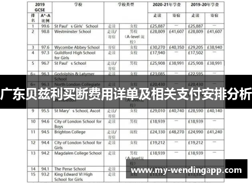 广东贝兹利买断费用详单及相关支付安排分析