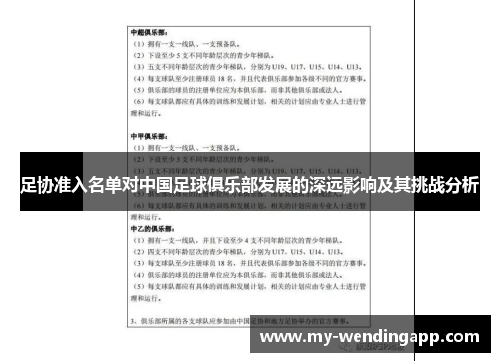足协准入名单对中国足球俱乐部发展的深远影响及其挑战分析