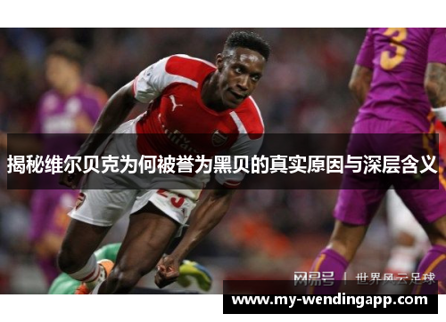 揭秘维尔贝克为何被誉为黑贝的真实原因与深层含义