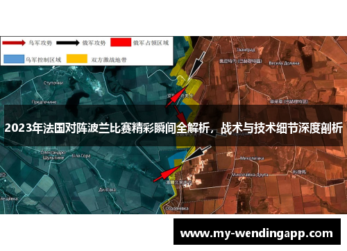 2023年法国对阵波兰比赛精彩瞬间全解析，战术与技术细节深度剖析