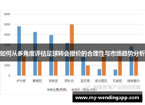 如何从多角度评估足球转会报价的合理性与市场趋势分析