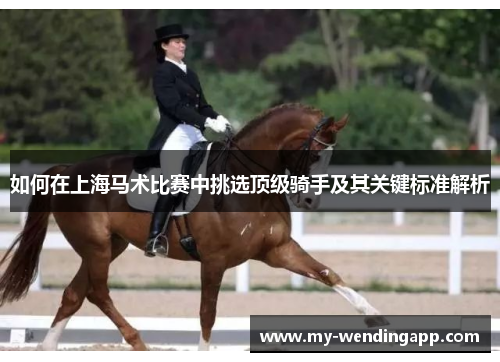 如何在上海马术比赛中挑选顶级骑手及其关键标准解析