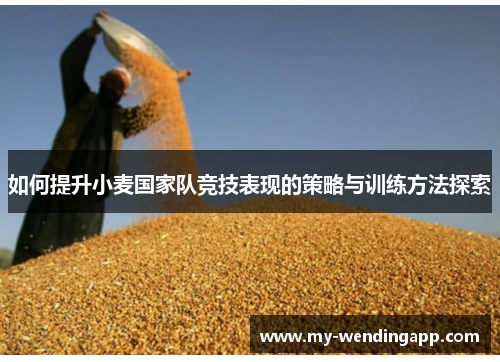 如何提升小麦国家队竞技表现的策略与训练方法探索