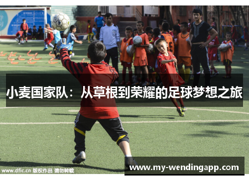 小麦国家队:从草根到荣耀的足球梦想之旅 小麦国家队:从草根到荣耀的足球梦想之旅